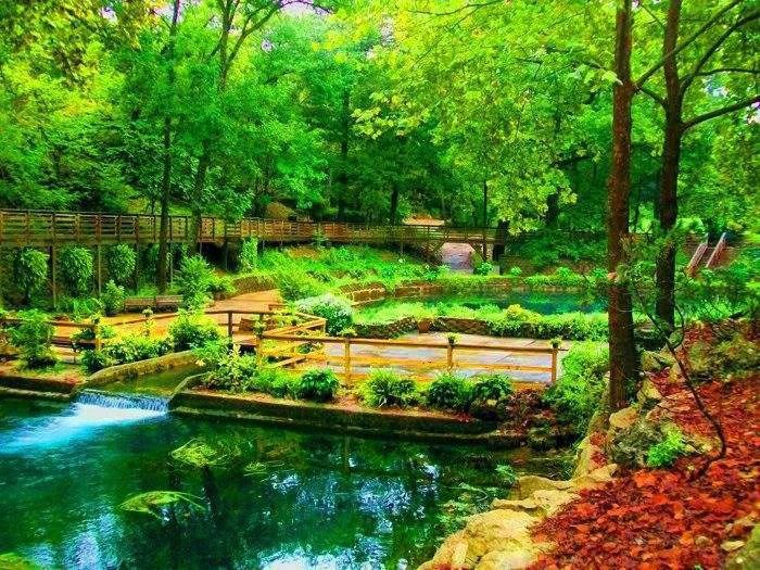 1660588_205008246359821_52543803_n