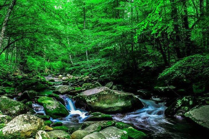 1796497_204438756416770_1316894368_n