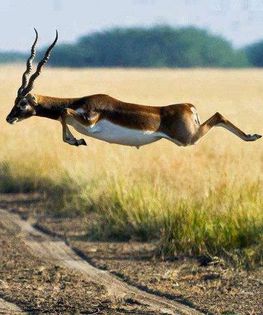 1653881_203002619893717_114663658_n