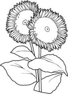 images (22)