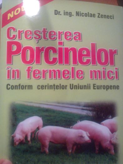 Fotografie0299 - PORCI