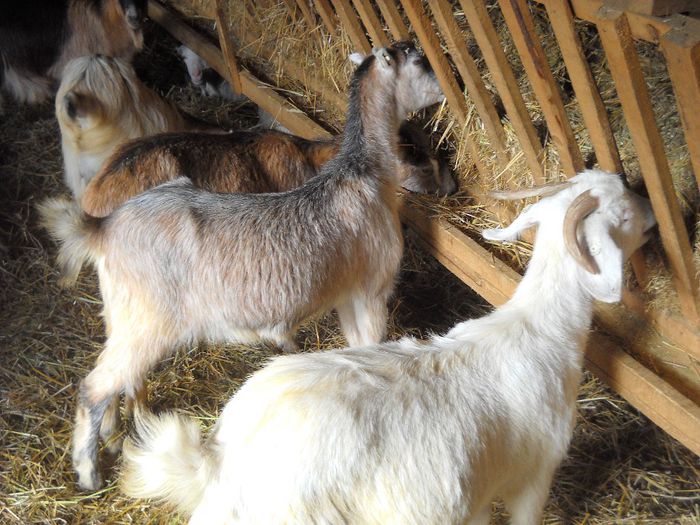 poza 076 - Ianuarie 2014