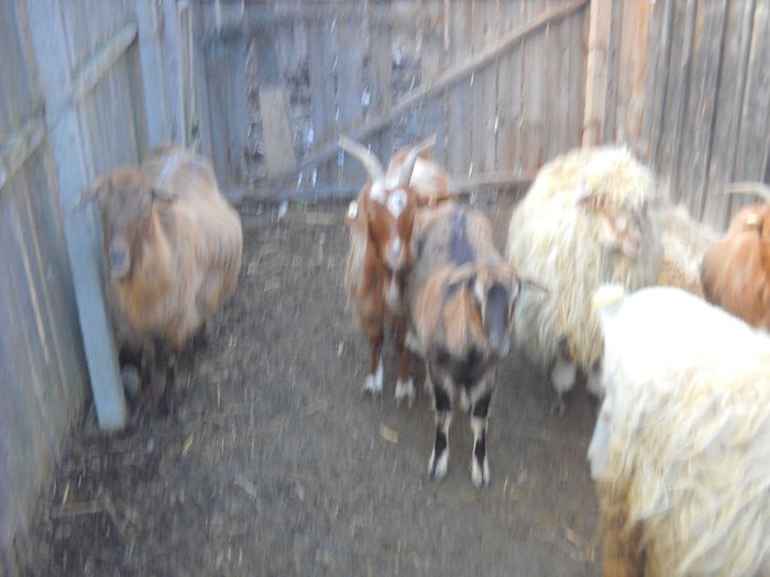 poza 126 - Ianuarie 2014