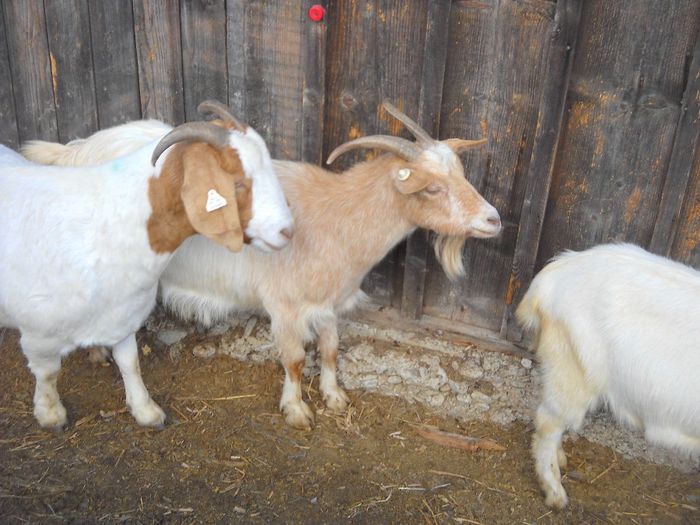 poza 129 - Ianuarie 2014