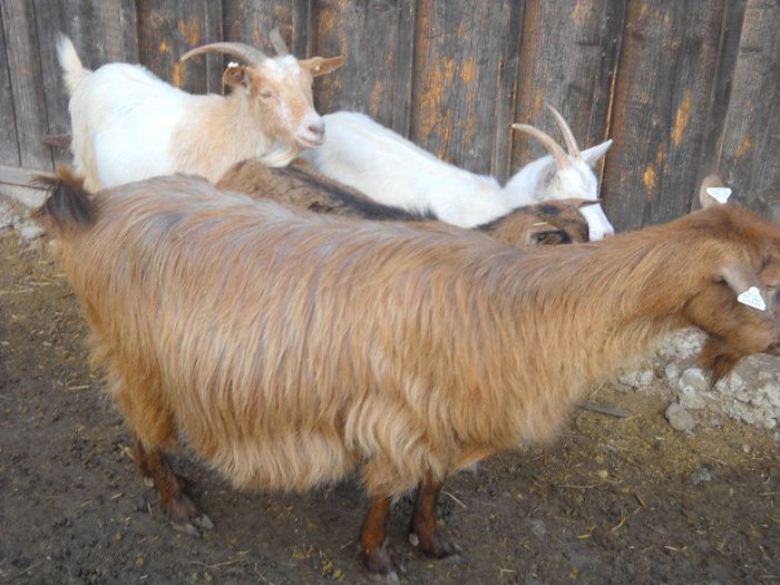 poza 134 - Ianuarie 2014