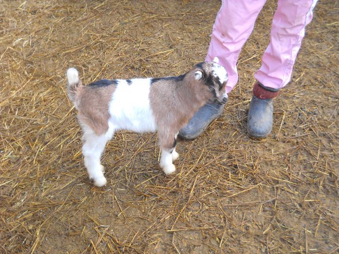 poza 137 - Ianuarie 2014