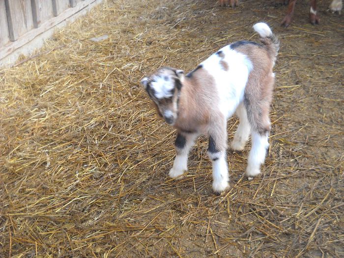 poza 139 - Ianuarie 2014