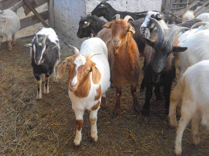 poza 145 - Ianuarie 2014