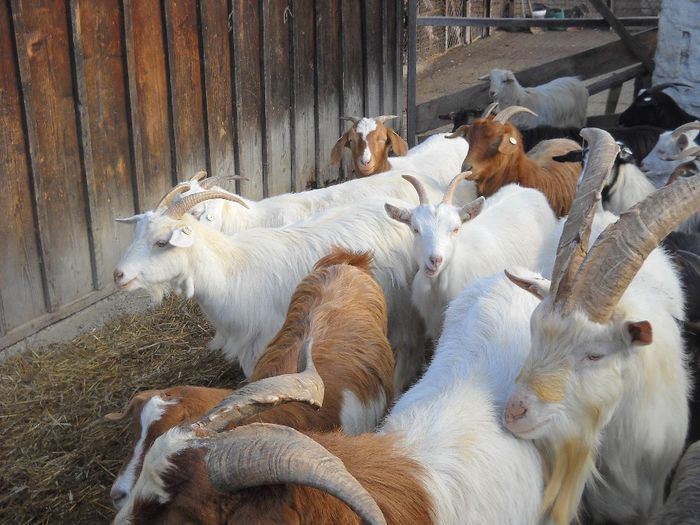 poza 158 - Ianuarie 2014