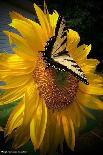 1013179_621929604529493_1299992092_n