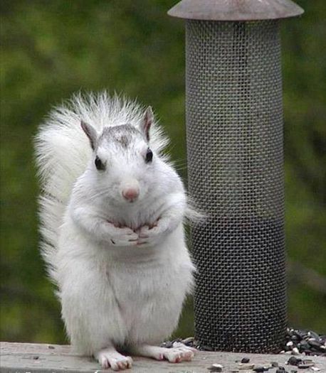 1486628_621888891200231_1264680292_n