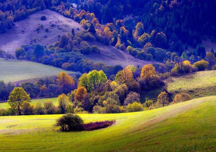 1517682_621922824530171_787728644_n