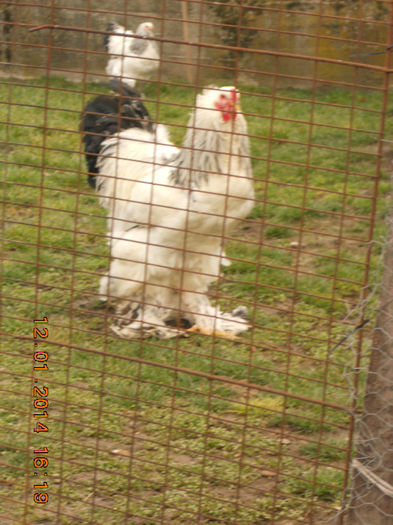 http:mariusvinga.sunphoto.ro