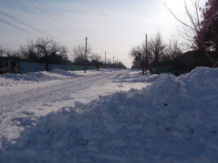 739 - Iarna pe ulita Feb-Dec  2014