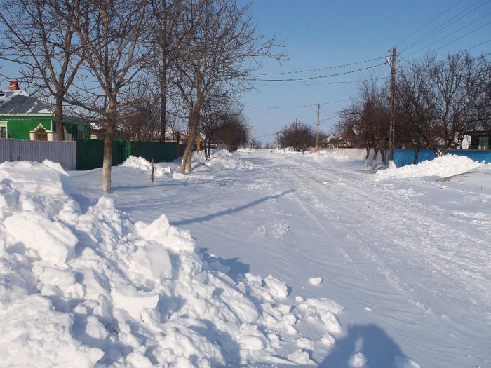 741 - Iarna pe ulita Feb-Dec  2014
