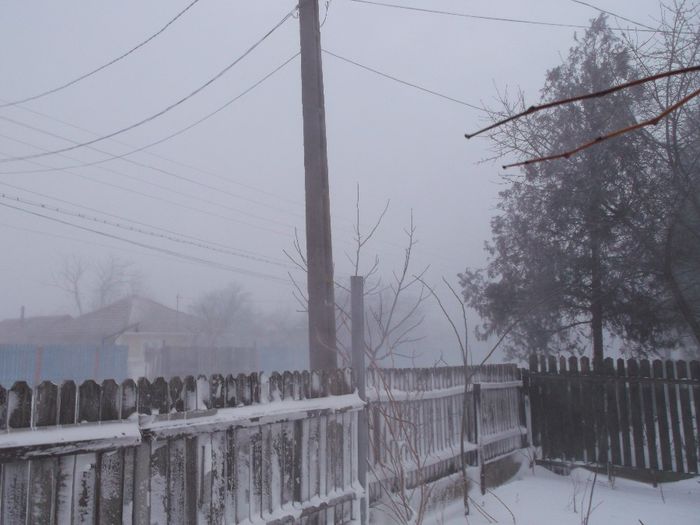 667 - Iarna pe ulita Feb-Dec  2014