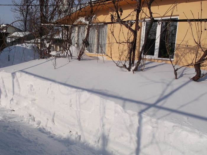 747 - Iarna pe ulita Feb-Dec  2014