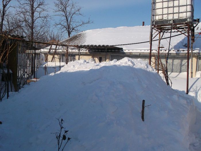 750 - Iarna pe ulita Feb-Dec  2014