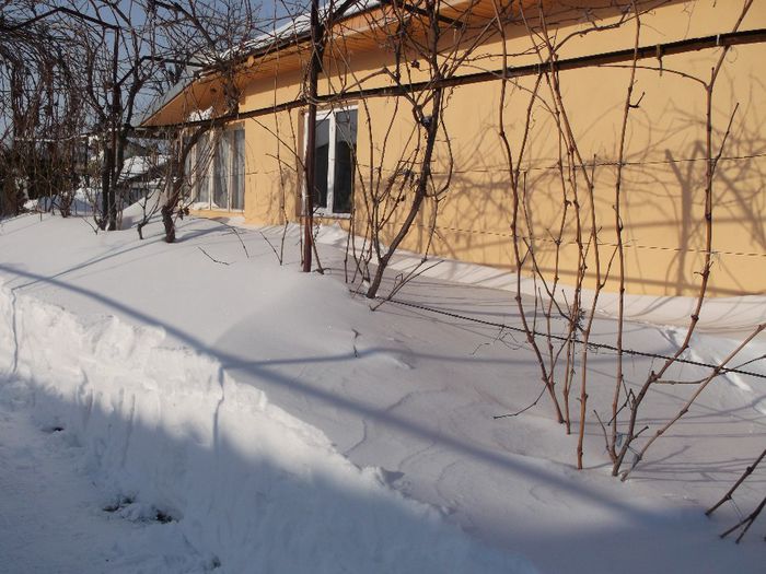746 - Iarna pe ulita Feb-Dec  2014