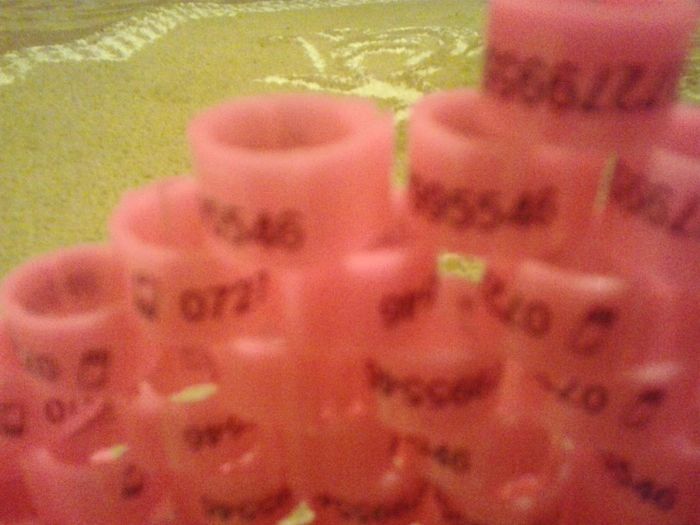  - VAND CLEME CU NR  DE TEL