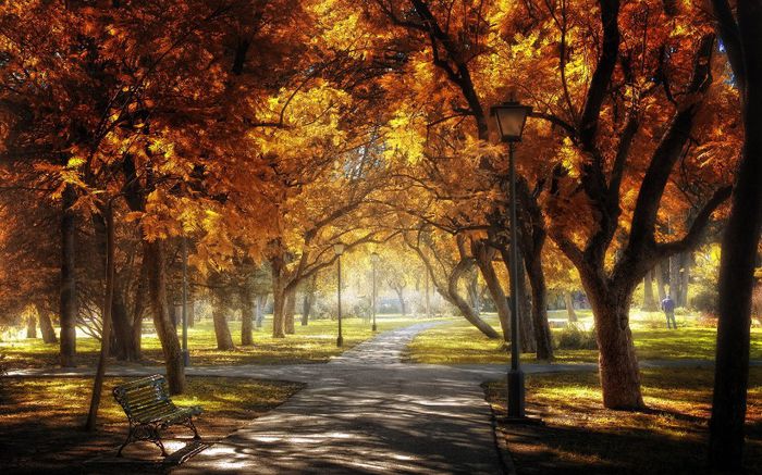 1512153_797227536958282_2066479459_o