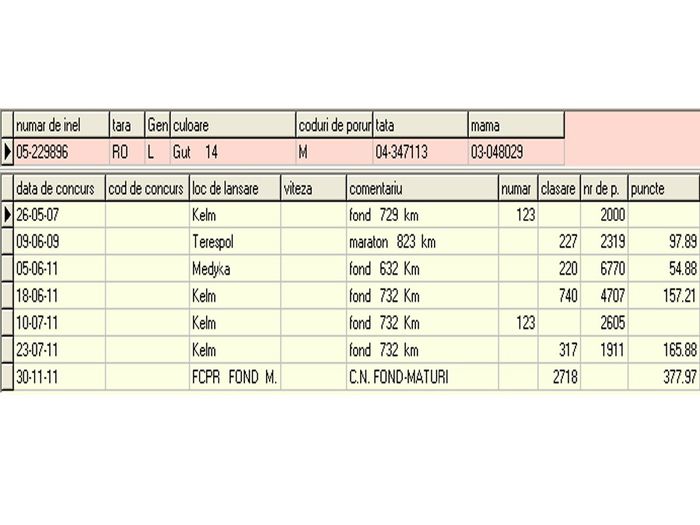 229896 - I. - Porumbei reprezentativi vanduti - bunici si parinti ai porumbeilor de azi