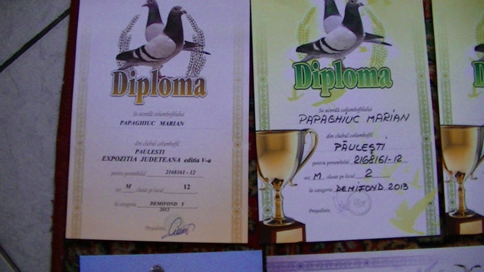 diplome