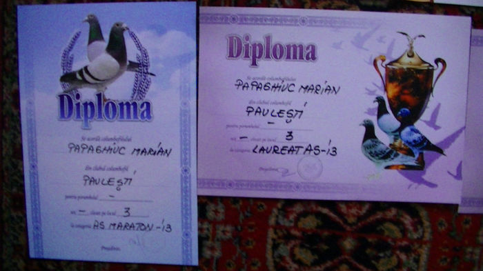 diplome - revistele diplomele si premile mele