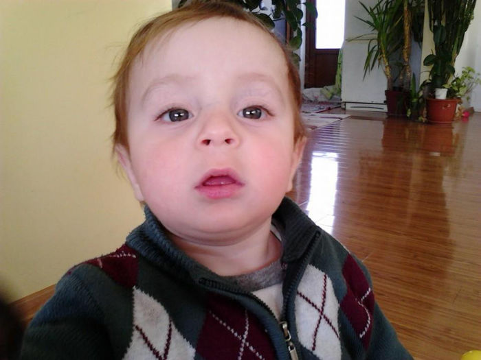 1800203_1440750576160792_433909693_n