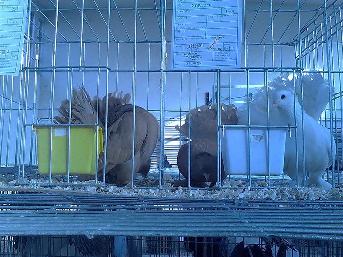 IMG_20140131_151544_683