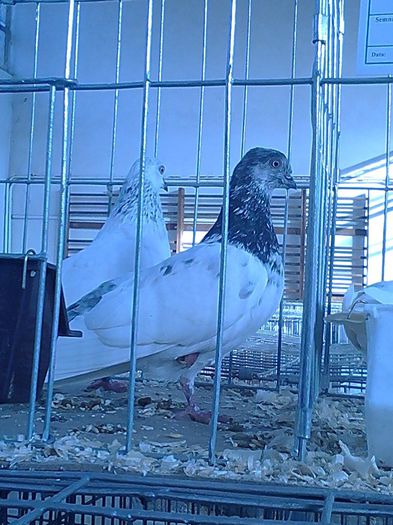 IMG_20140131_152038_890