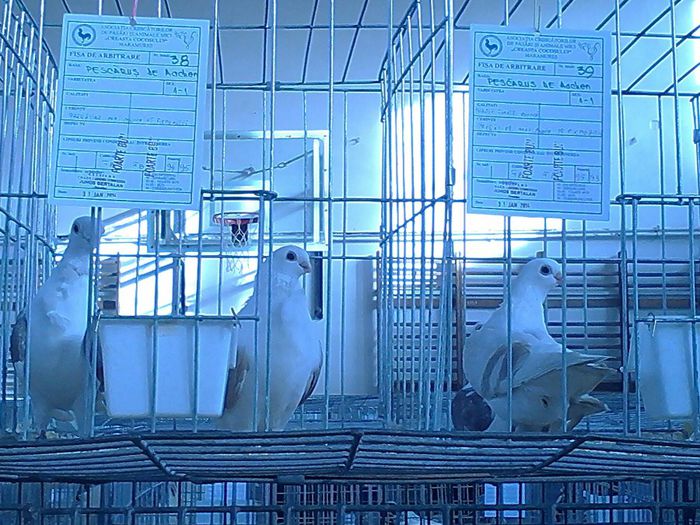 IMG_20140131_152116_151