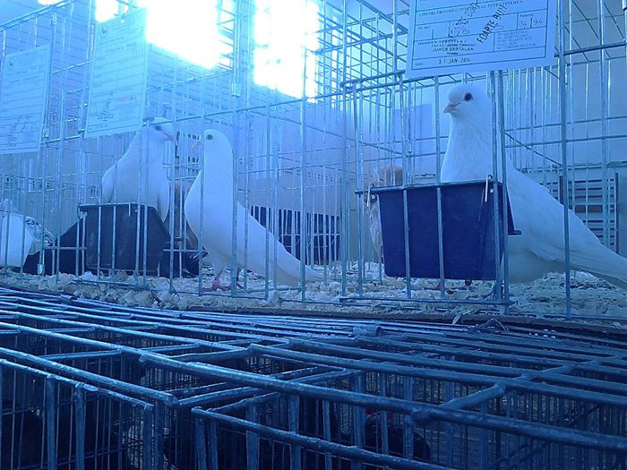 IMG_20140131_152401_252