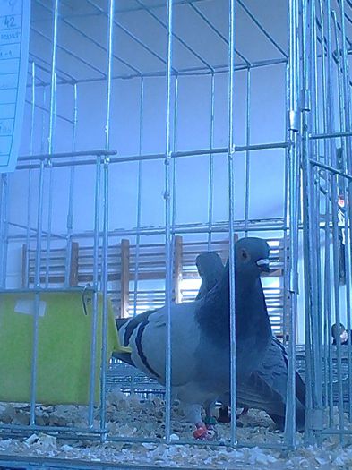 IMG_20140131_145417_940