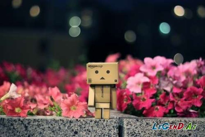 1386136604_1314088884_079 - Roboti draguti