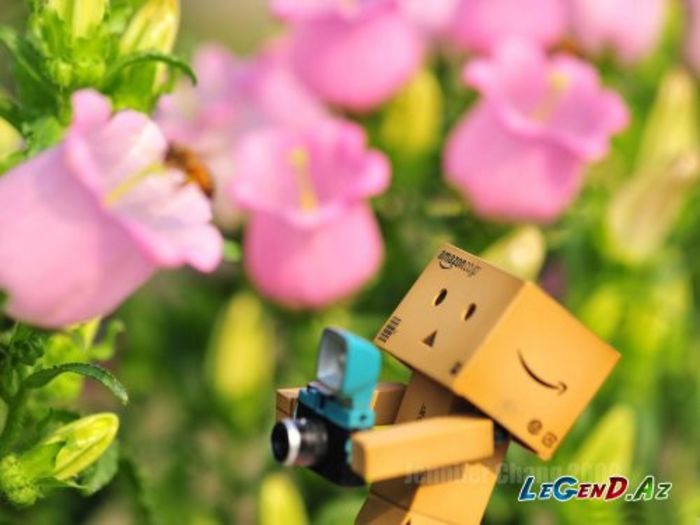 1386136676_1367999171-445 - Roboti draguti