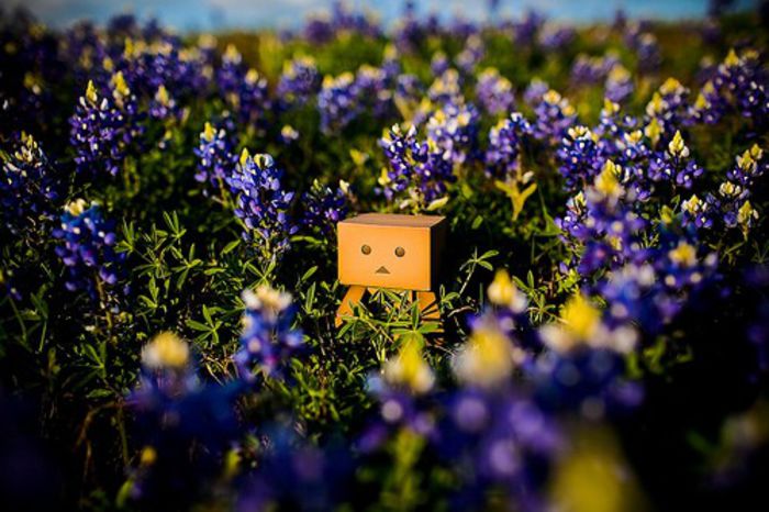 3429016262_df0bbe4004