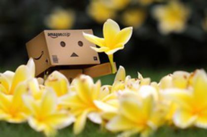 animaatjes-danbo-03855