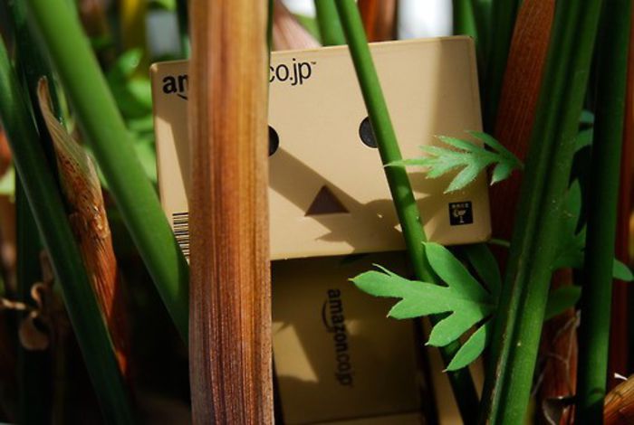 animaatjes-danbo-31247