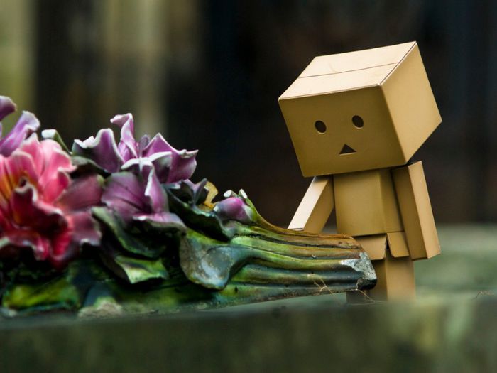 animaatjes-danbo-62768 - Roboti draguti