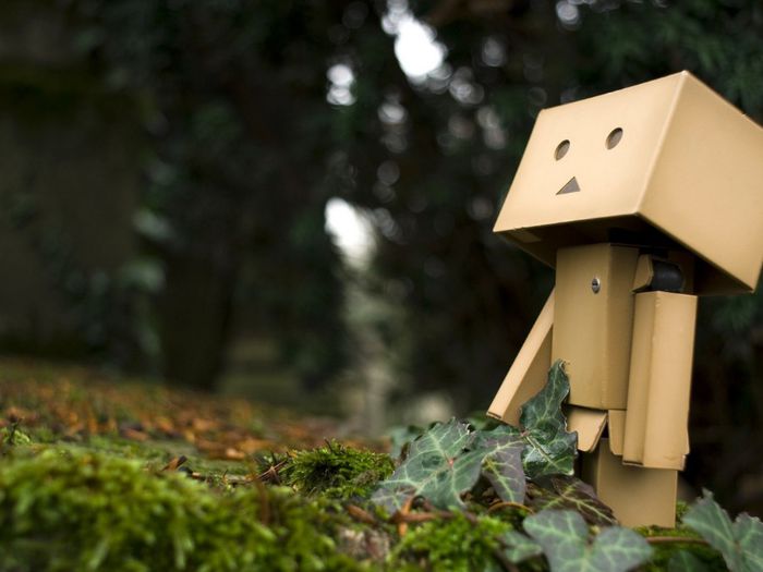 animaatjes-danbo-85063