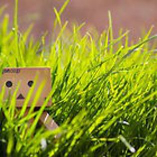 flat,140x140,075,t (2) - Roboti draguti