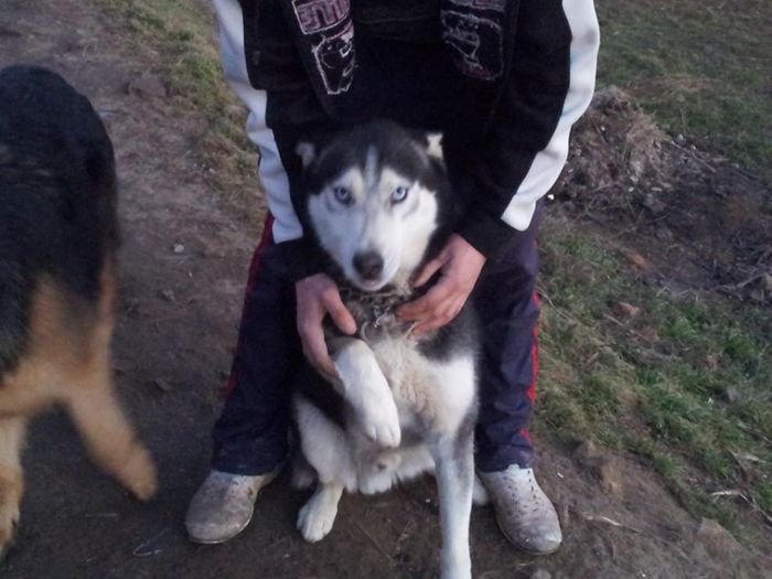 1513284_240420322801298_1248898041_n