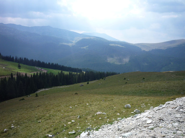 PE TRANSALPINA... - B-2013