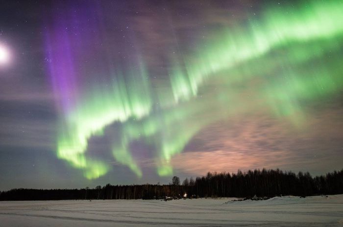 1064505_626619864039828_355707179_o