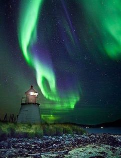 1236985_628875827147565_1663340528_n