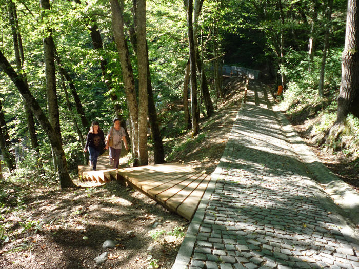 LA PLIMBARE PE LANGA LACUL URSU