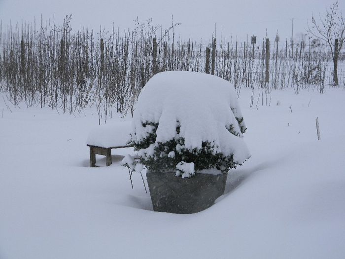 DSCN4792; 31 01 2014
