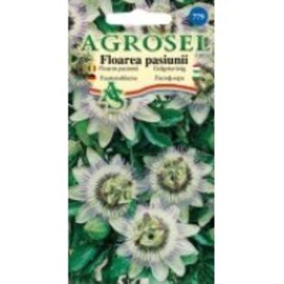 passiflora - 2014 ACHIZITII