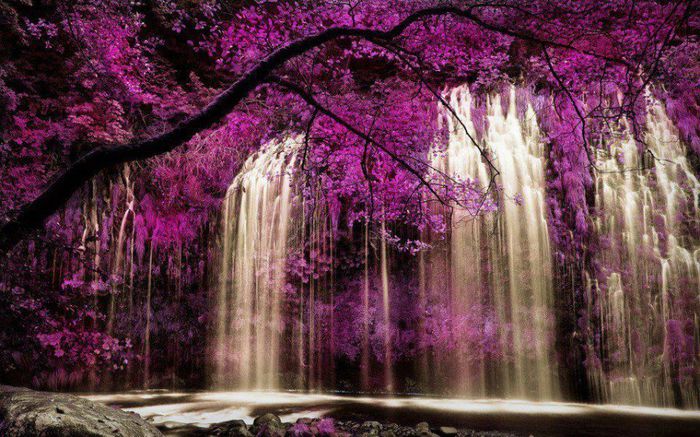 1236293_703117803035923_2031183722_n - Natura
